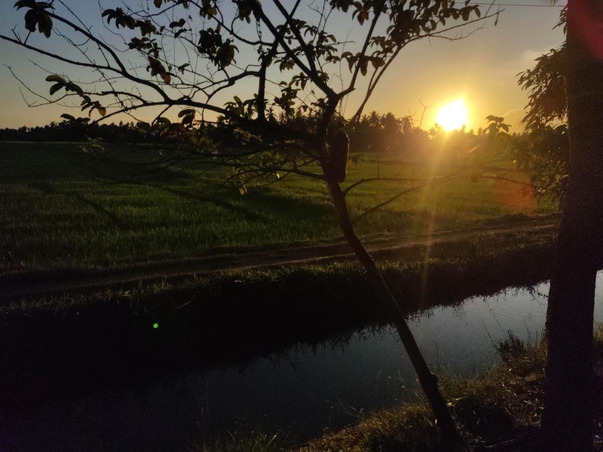Village Mango Resort Yala Tissamaharama Luaran gambar