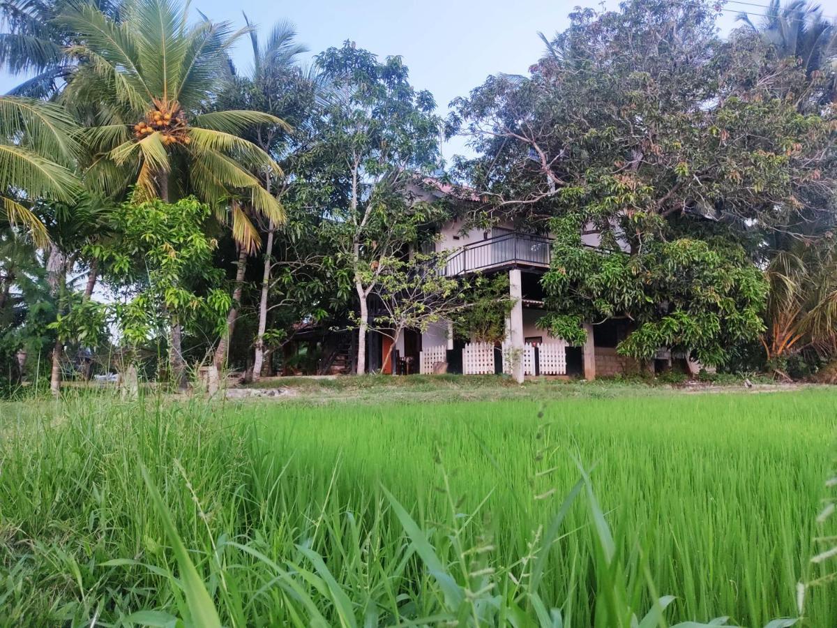 Village Mango Resort Yala Tissamaharama Luaran gambar