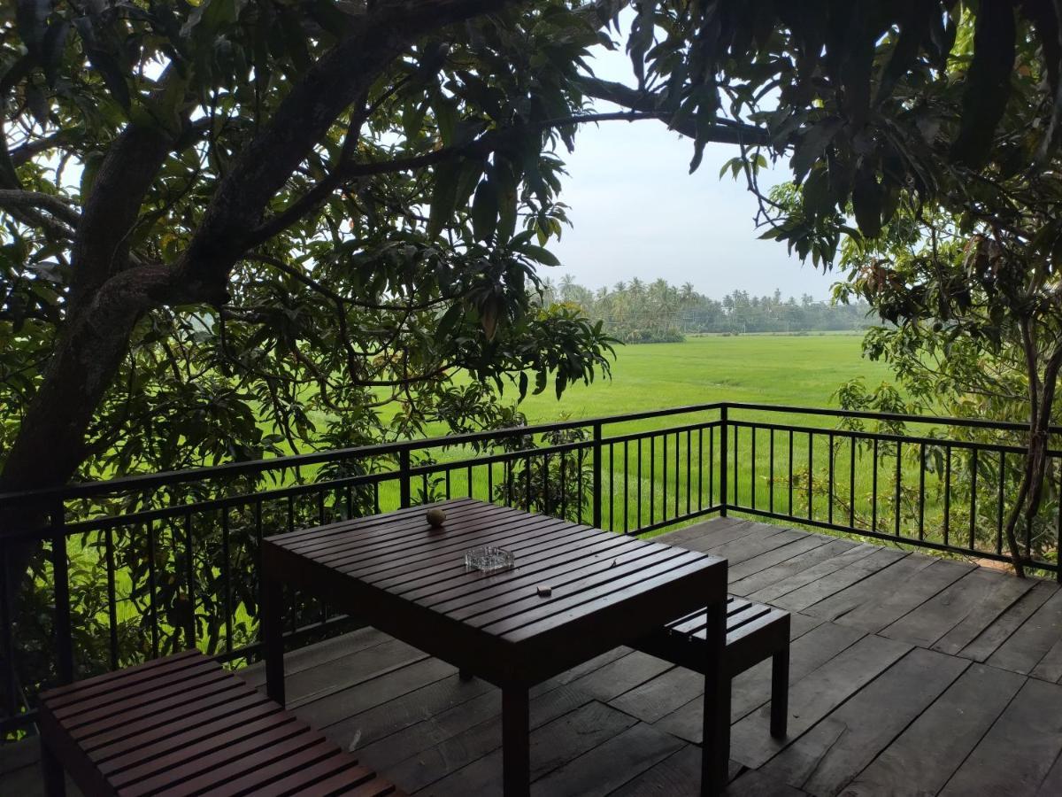Village Mango Resort Yala Tissamaharama Luaran gambar